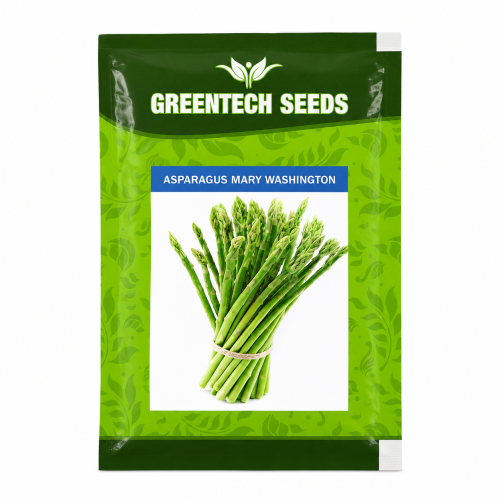 Asparagus Mary Washington 