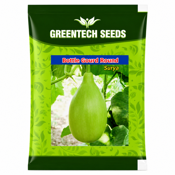 Bottle Gourd Surya