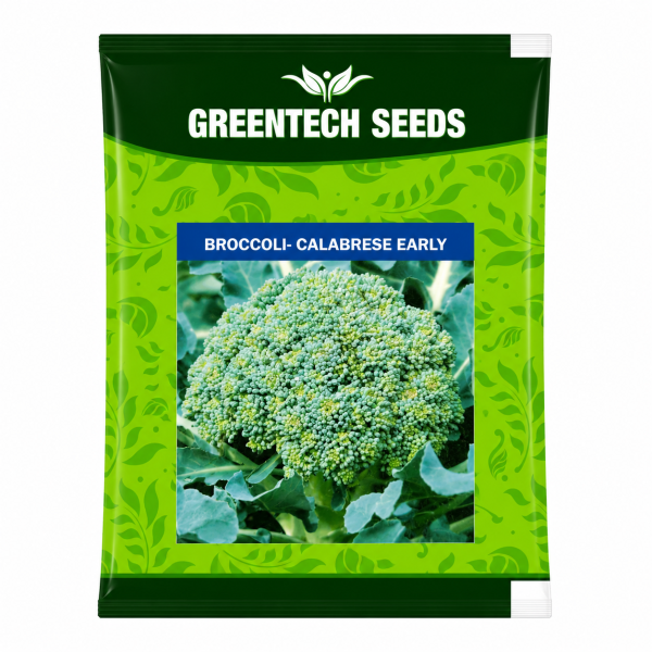 Broccoli Calabrese Early