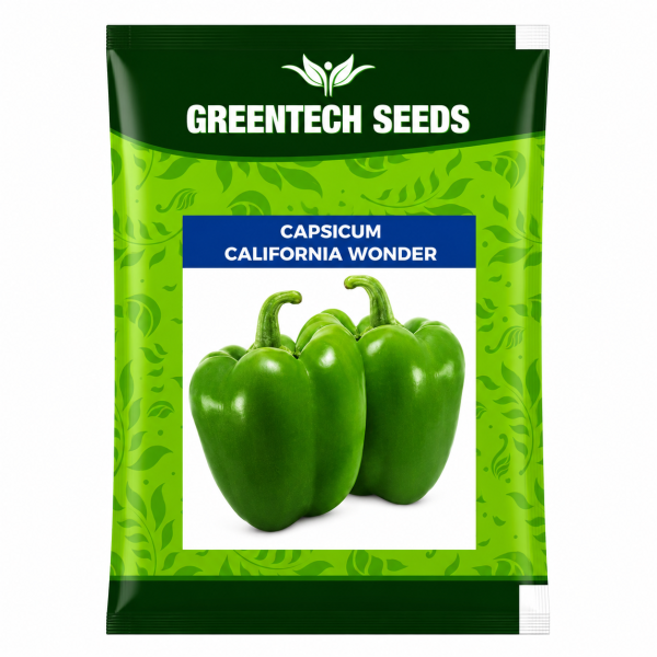 Capsicum California Wonder