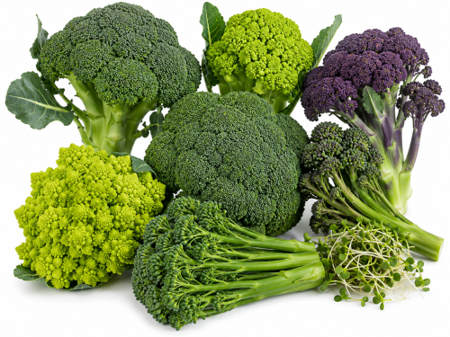Broccoli