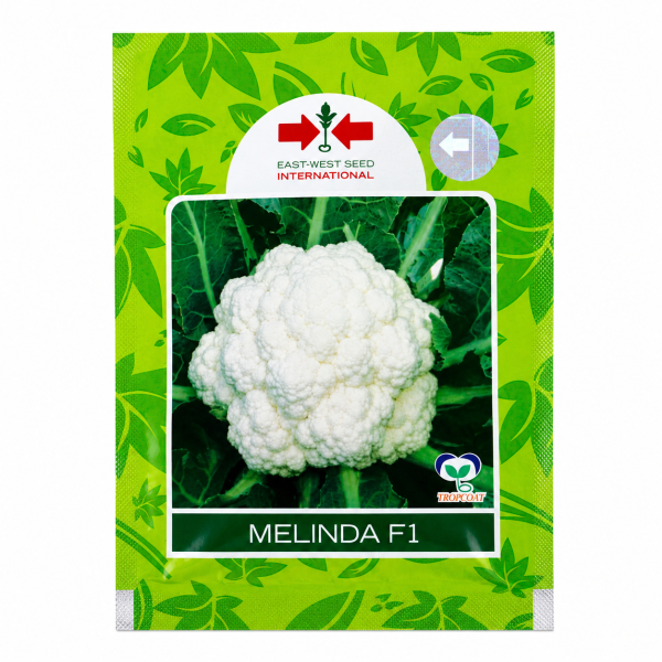 Melinda F1