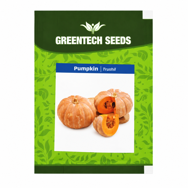 Pumpkin Trushil