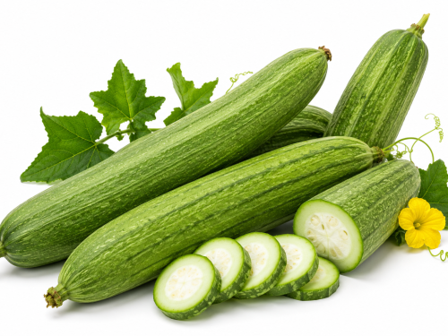 Sponge Gourd