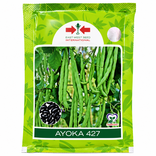 Ayoka 427