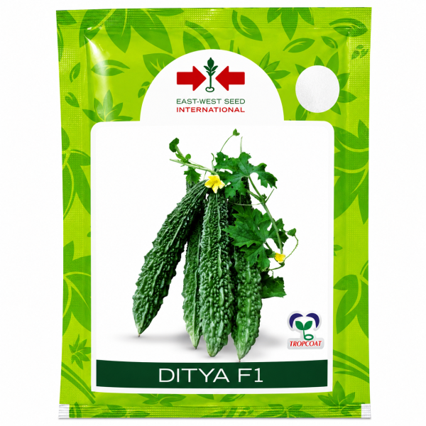 Ditya F1