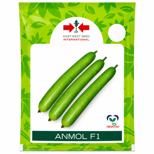 ChatGPT Image Jul 6, 2026, 10_41_14 AM 