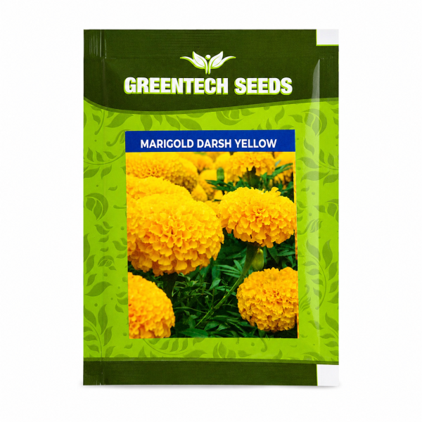 Marigold Darsh Yellow
