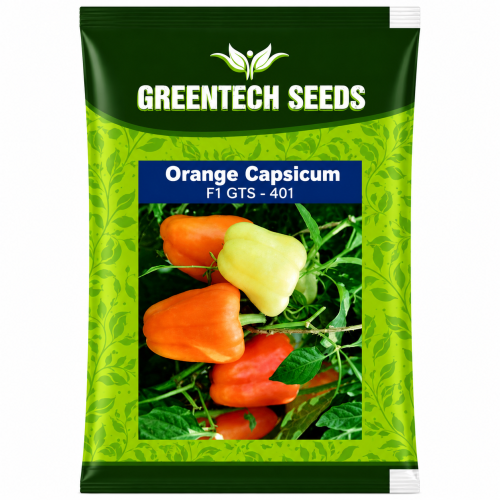 Orange Capsisum 