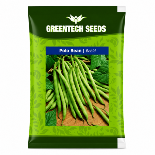 polo bean Bebid 