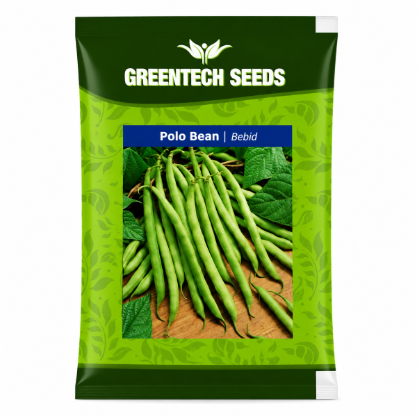 Polo Bean  Bebid