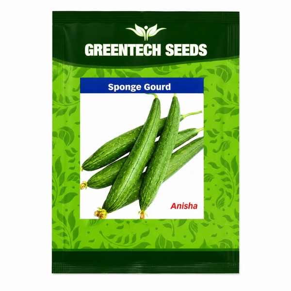 Sponge Gourd Anisha