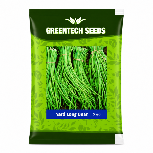 Yard Long Bean Sriya 