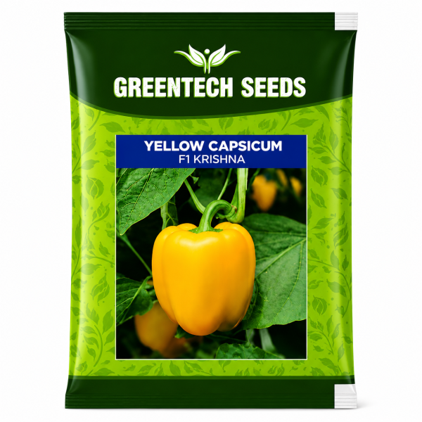 Yellow Capsicum F1 Krishna