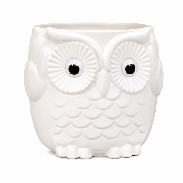 Owl Pot